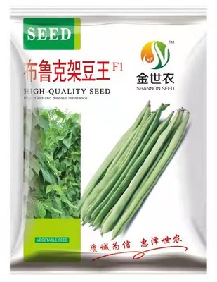 布鲁克架豆王