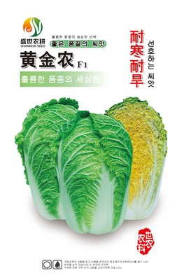 黄金农