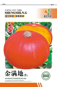金满地